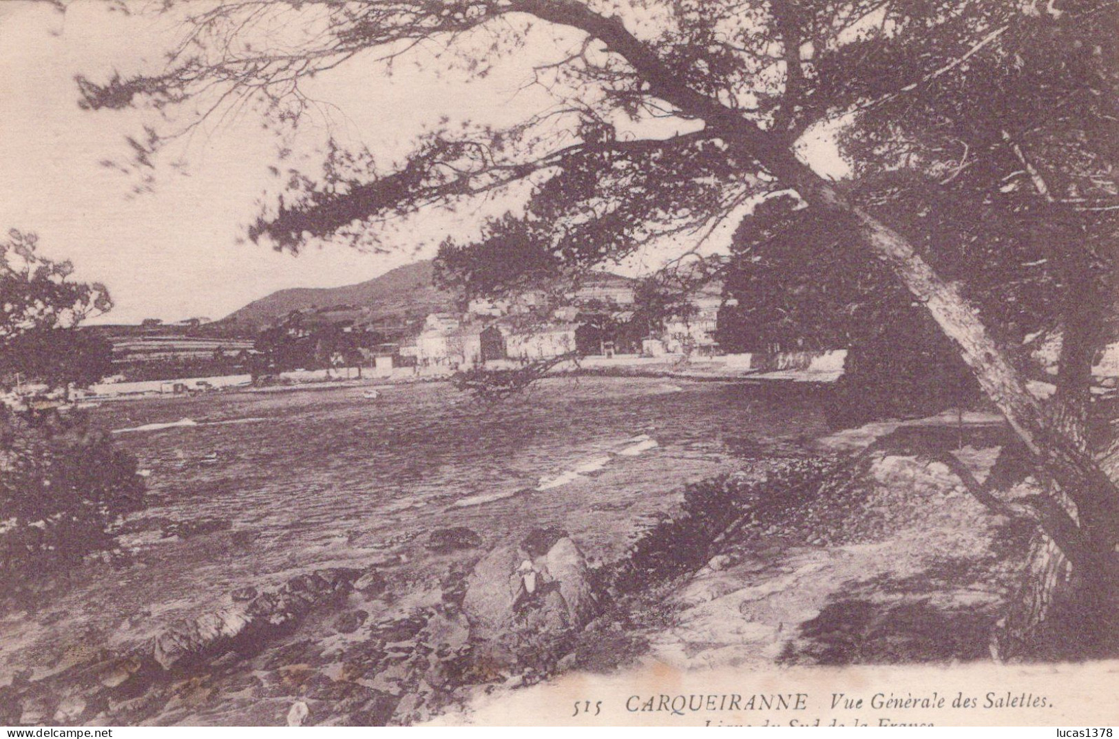 83 / CARQUEIRANNE / VUE GENERALE DES SALETTES / LIGNE DU SUD DE LA FRANCE - Carqueiranne