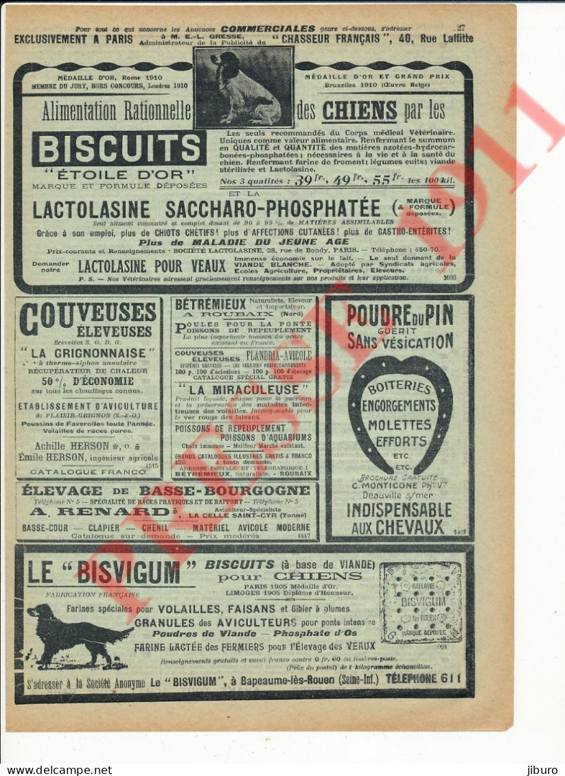 Publicité Vintage 1911 Aliments Pour Chiens Bisvigum Biscuits Achille Herson Monticone Griffons Vendéens Bassets - Werbung