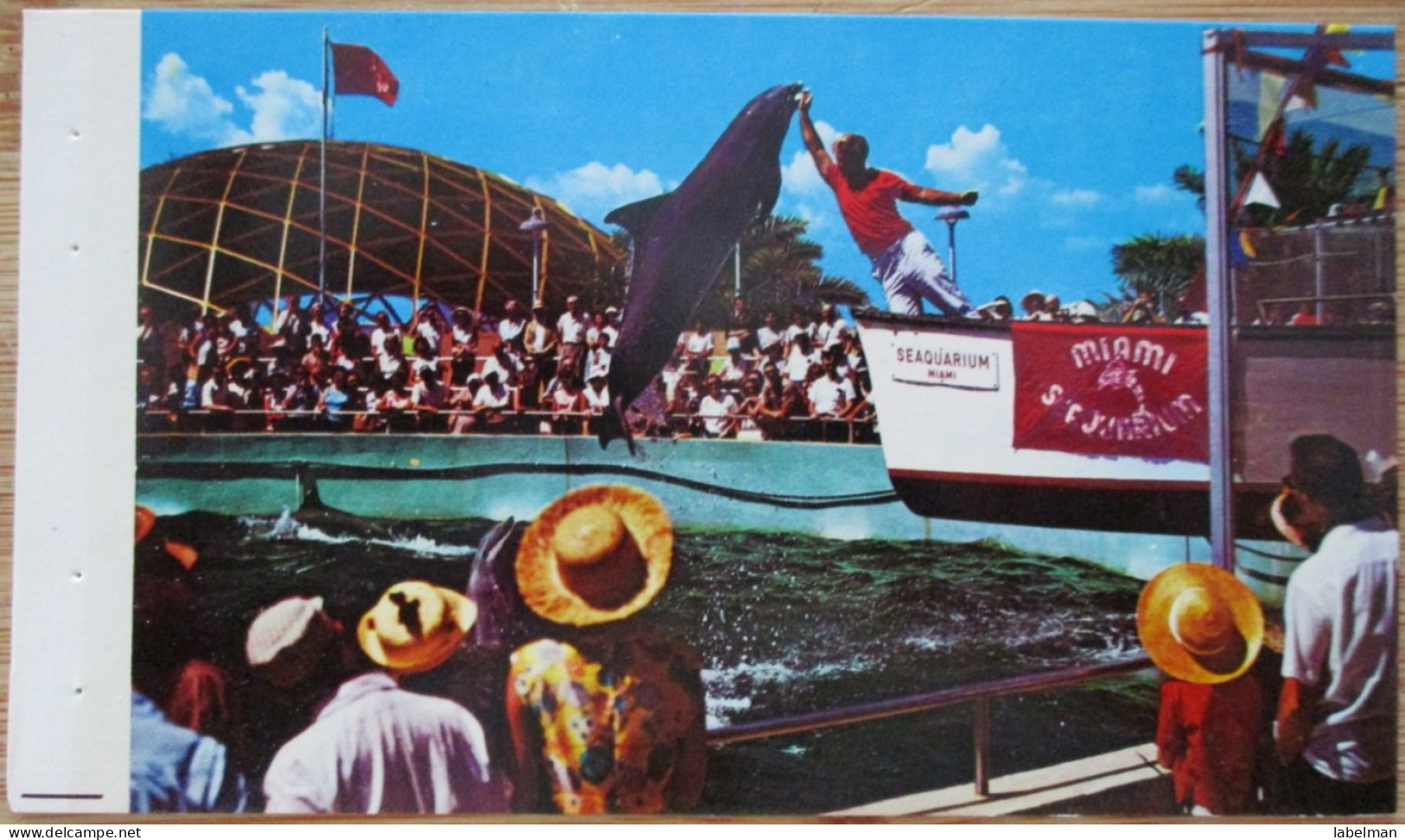 USA UNITED STATES FLORIDA MIAMI SEA AQUARIUM CARD POSTCARD CARTE POSTALE ANSICHTSKARTE CARTOLINA POSTKARTE - Portland