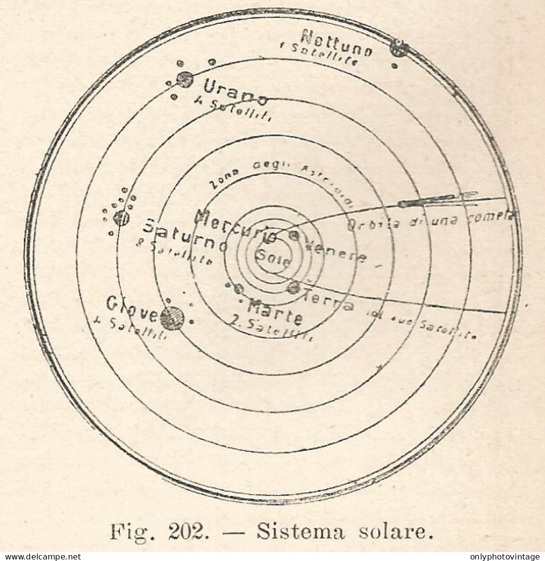 Sistema Solare - Xilografia D'epoca - 1924 Old Engraving - Prints & Engravings