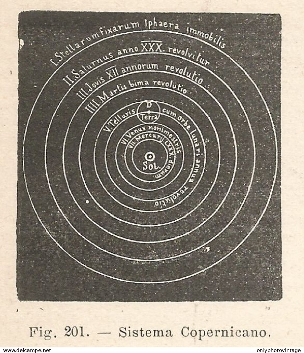 Sistema Copernicano - Xilografia D'epoca - 1924 Old Engraving - Prints & Engravings