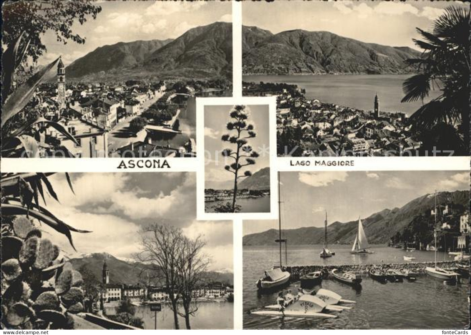 12327632 Ascona TI Lago Maggiore Hafen Promenade Ascona - Other & Unclassified