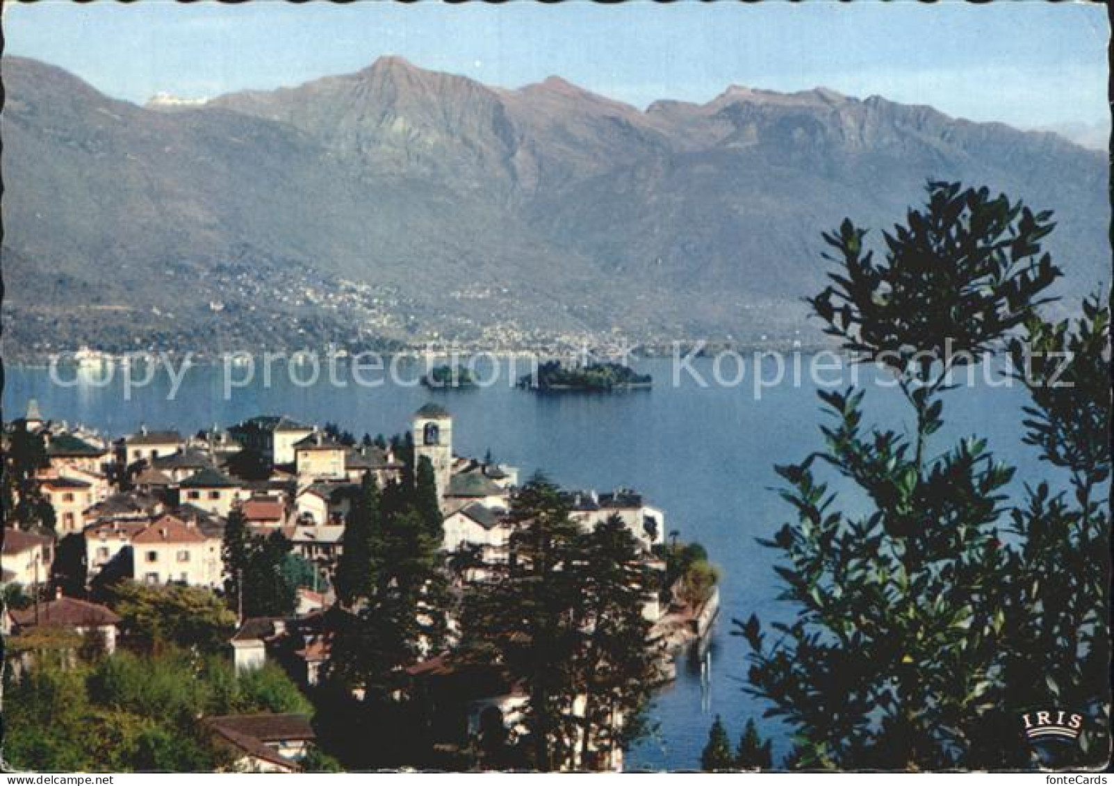 12324952 Brissago TI  Brissago - Other & Unclassified