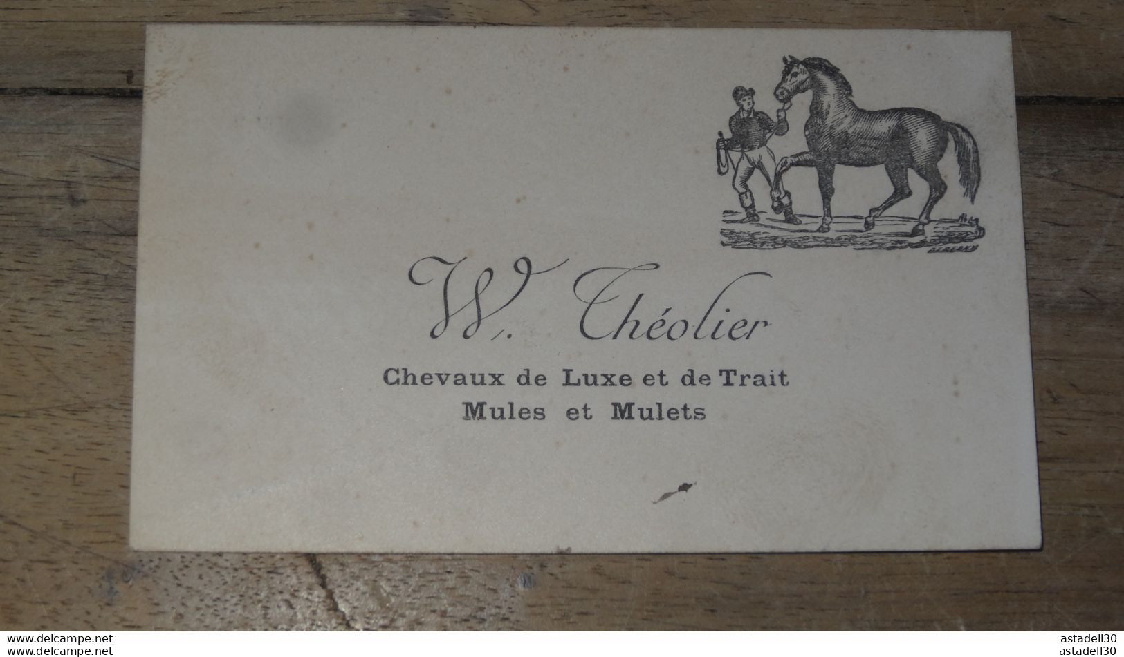 Carte De Visite, W THEOLIER, Chevaux De Luxe, Mules Et Mulets ........... PHI ..... E1-5 - Visiting Cards
