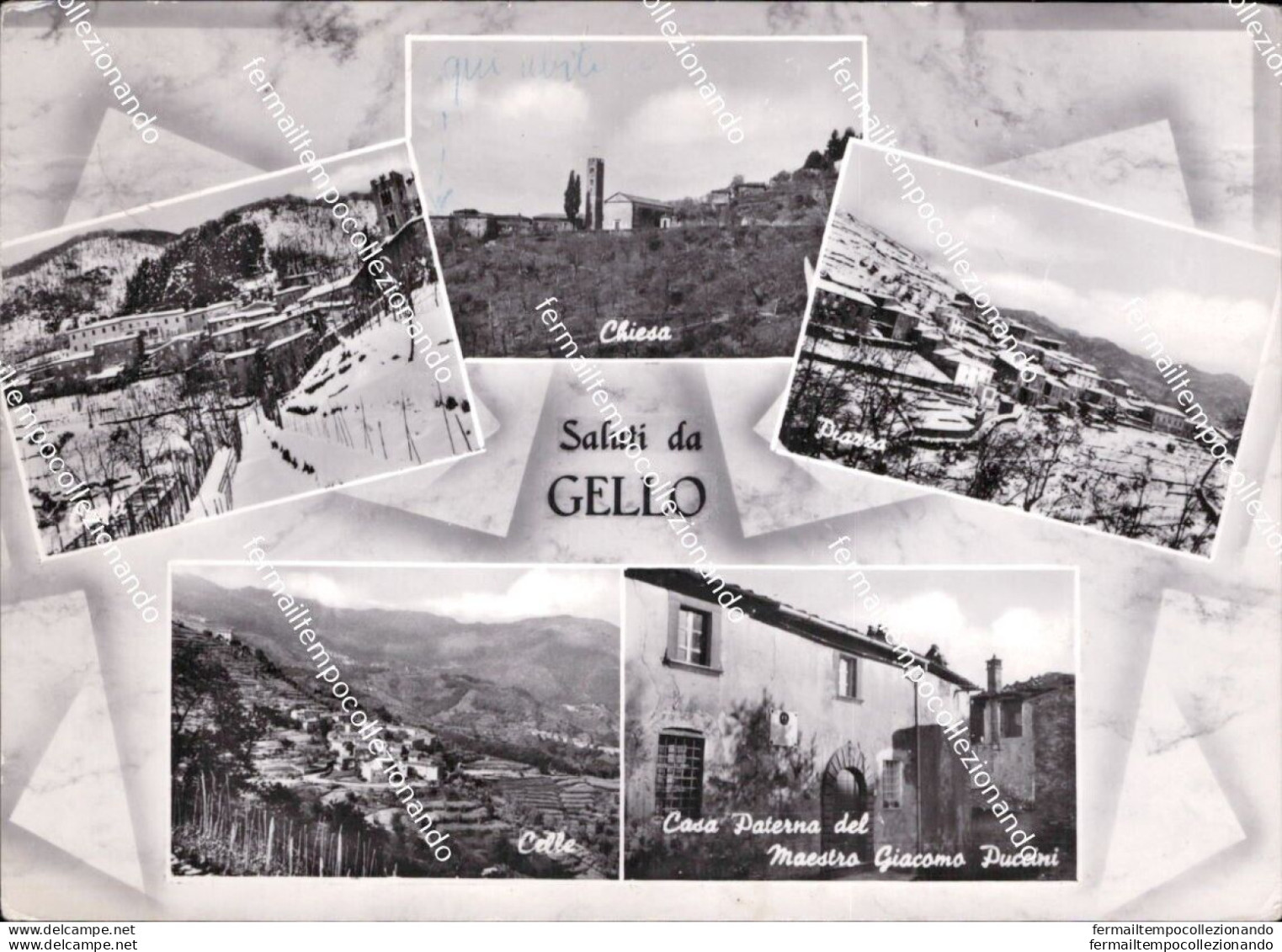 Al717 Cartolina Saluti Da Gello Provincia Di Lucca Toscana - Lucca