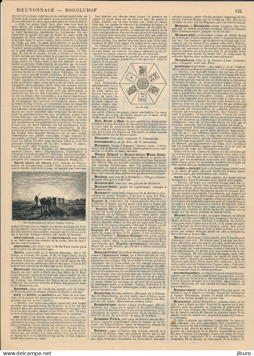 Planche 1908 Boeuf Animal Races Boeufs Taureaux Elevage Agriculture Taureau Durham Jersey Cotentin Agenais Gascon Angeln - Other & Unclassified