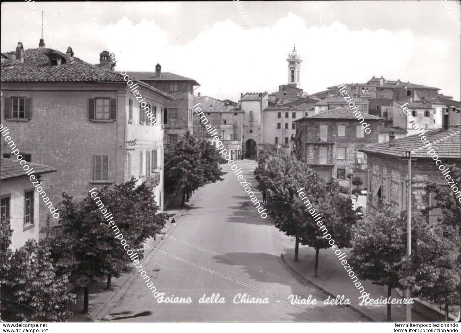 Al735 Cartolina Foiano Della Chiana Viale Della Repubblica Arezzo Toscana - Arezzo