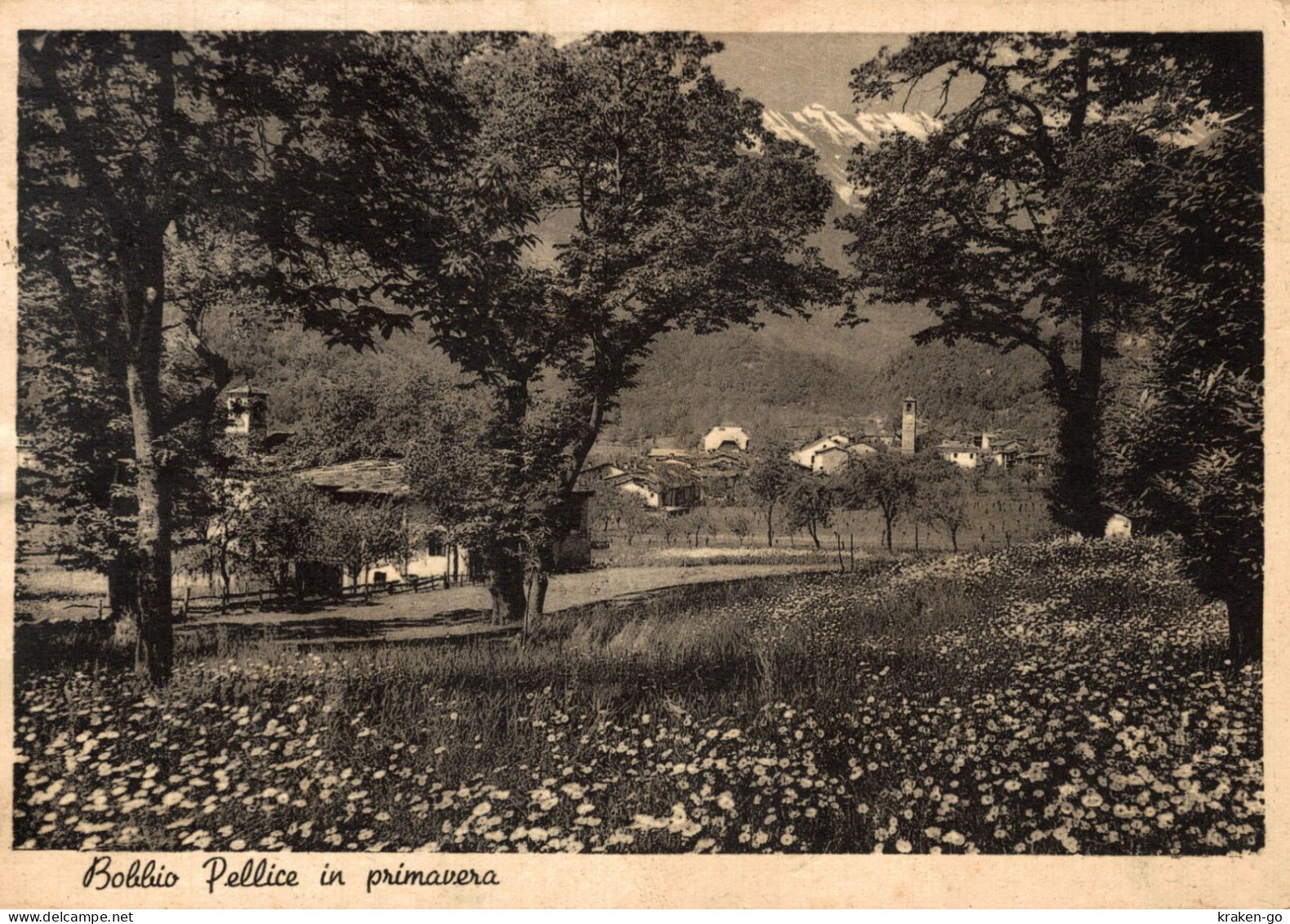 BOBBIO PELLICE, Torino - Panorama - VG - #060 - Otros & Sin Clasificación