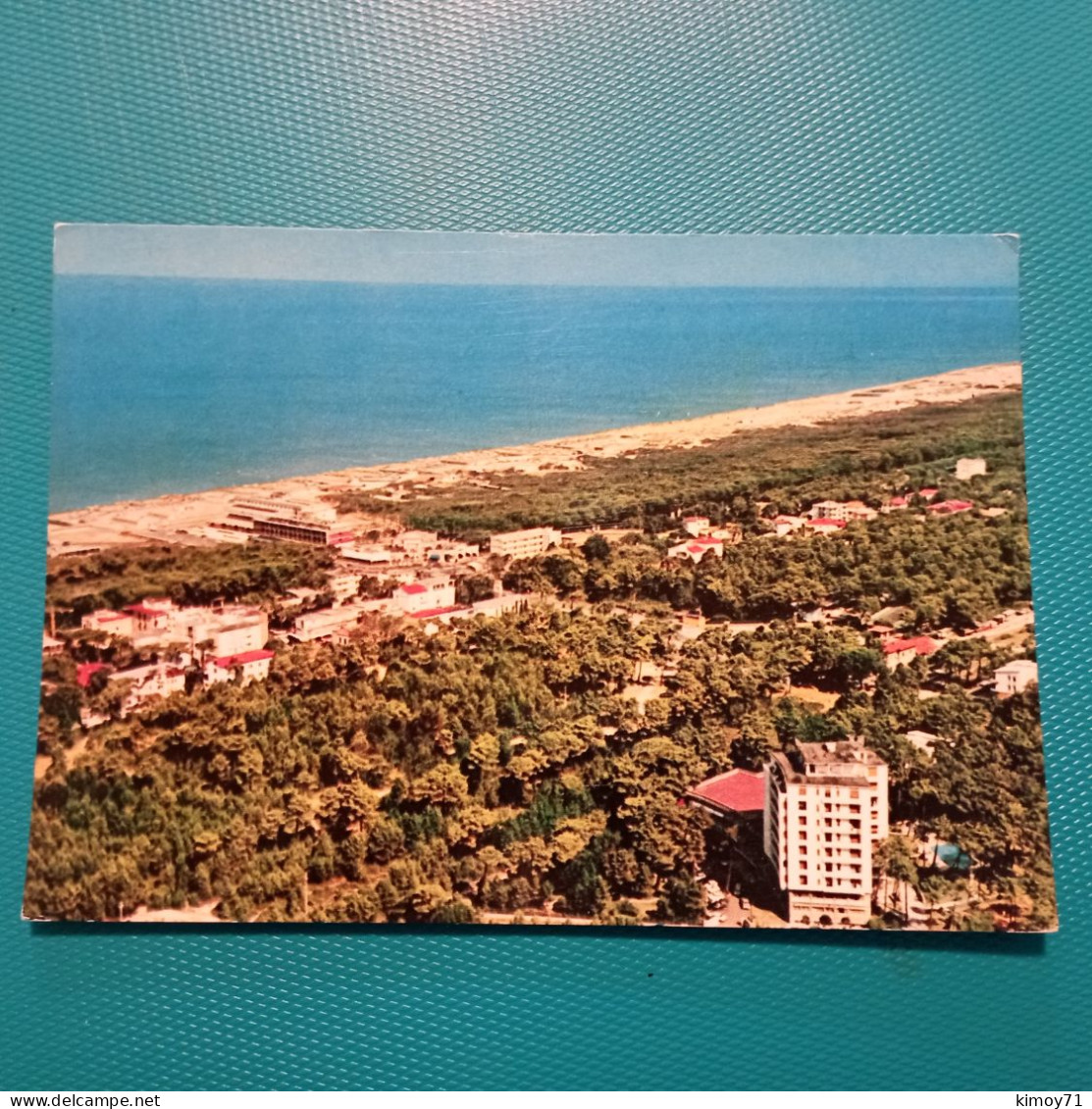 Cartolina Tirrenia (Pisa) - Panorama. Viaggiata 1981 - Pisa