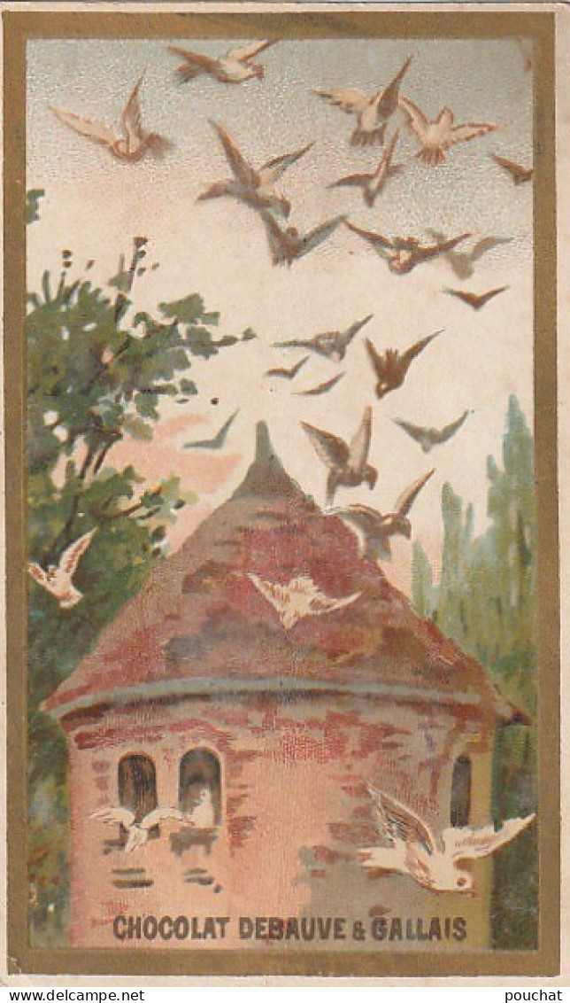 TE 6- CARTE PUBLICITAIRE  CHOCOLAT ECLAIR ET THE DEBAUVE & GALLAIS - PIGEONNIER ET VOL D' OISEAUX - Andere & Zonder Classificatie