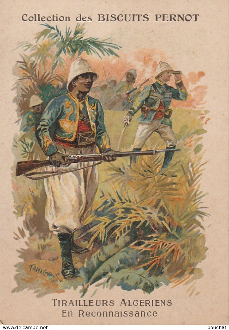 TE 6- " TIRAILLEURS ALGERIENS  "- ILLUSTRATEUR TAMAGNO - CARTE PUBLICITAIRE COLLECTION DES BISCUITS PERNOT - 2 SCANS - Pernot