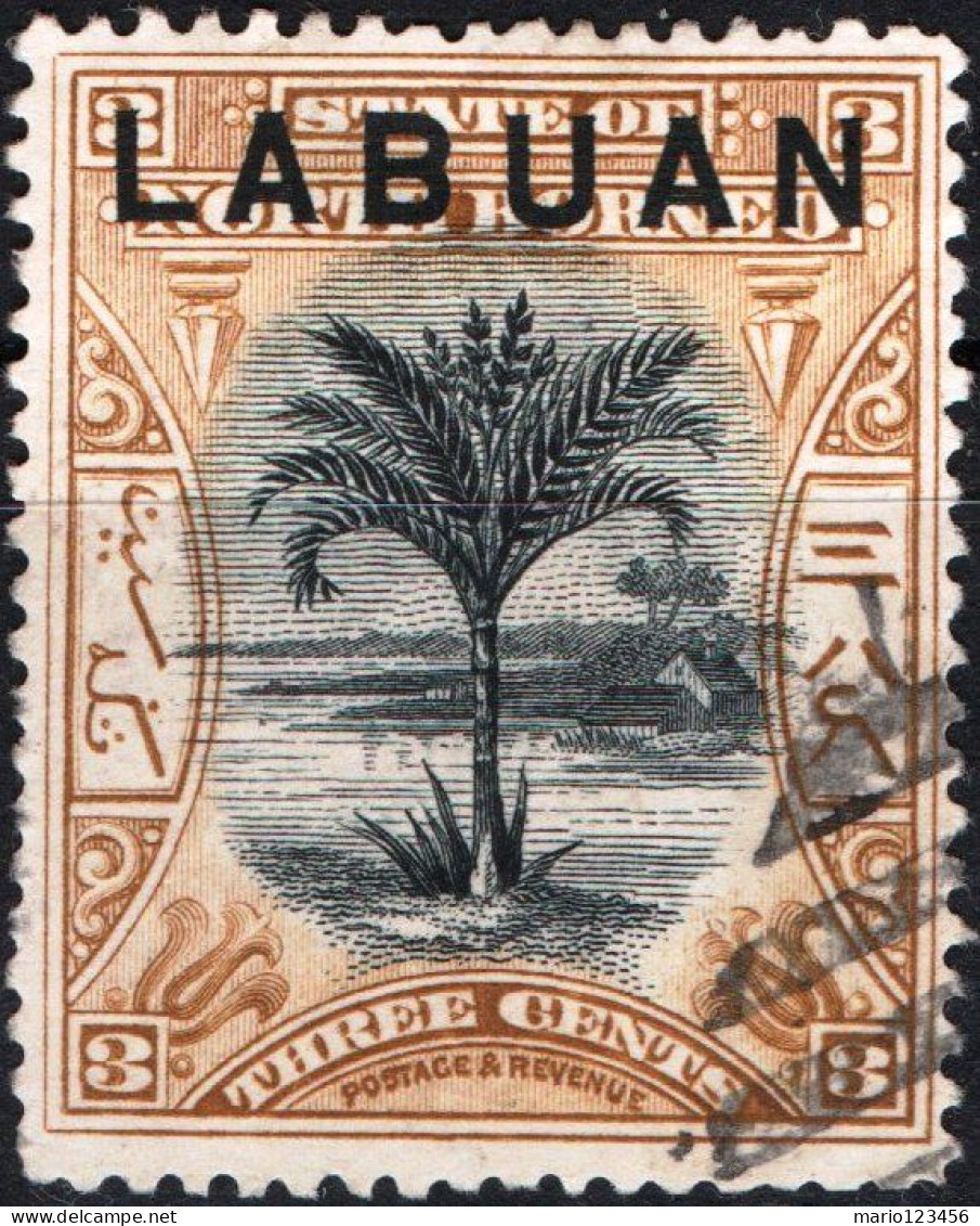 LABUAN, PAESAGGI, LANDSCAPES, 1897, USATI Mi:GB-LB 72, Scott:GB-LB 75, Yt:GB-LB 74 - Other & Unclassified