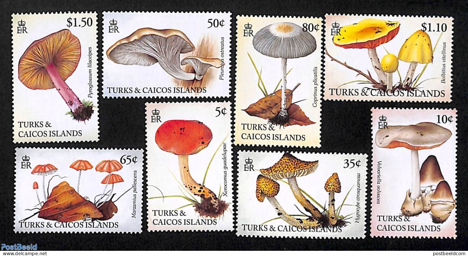 Turks And Caicos Islands 1994 Mushrooms 8v, Mint NH, Nature - Mushrooms - Funghi