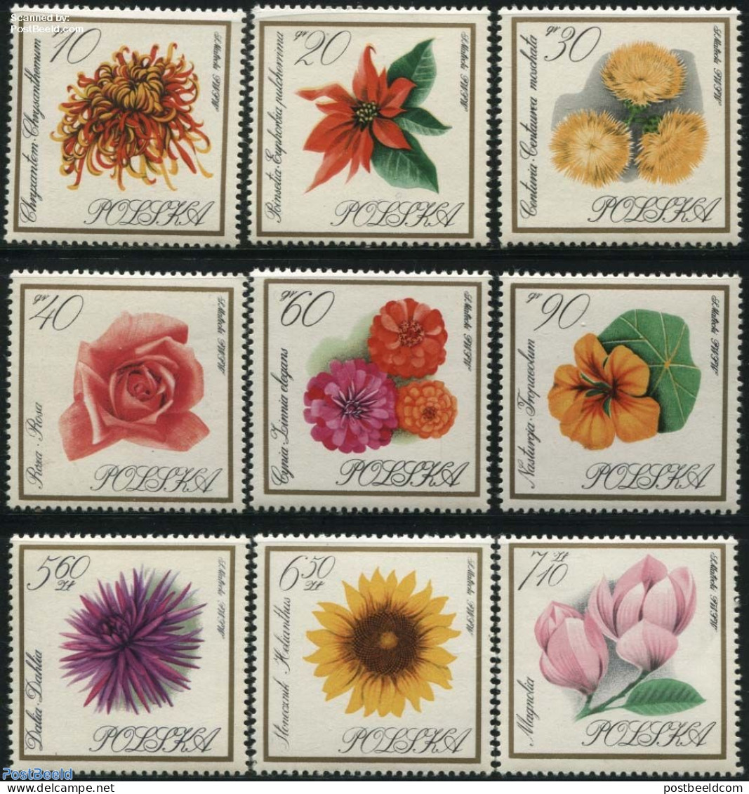 Poland 1966 Garden Flowers 9v, Mint NH, Nature - Flowers & Plants - Roses - Unused Stamps