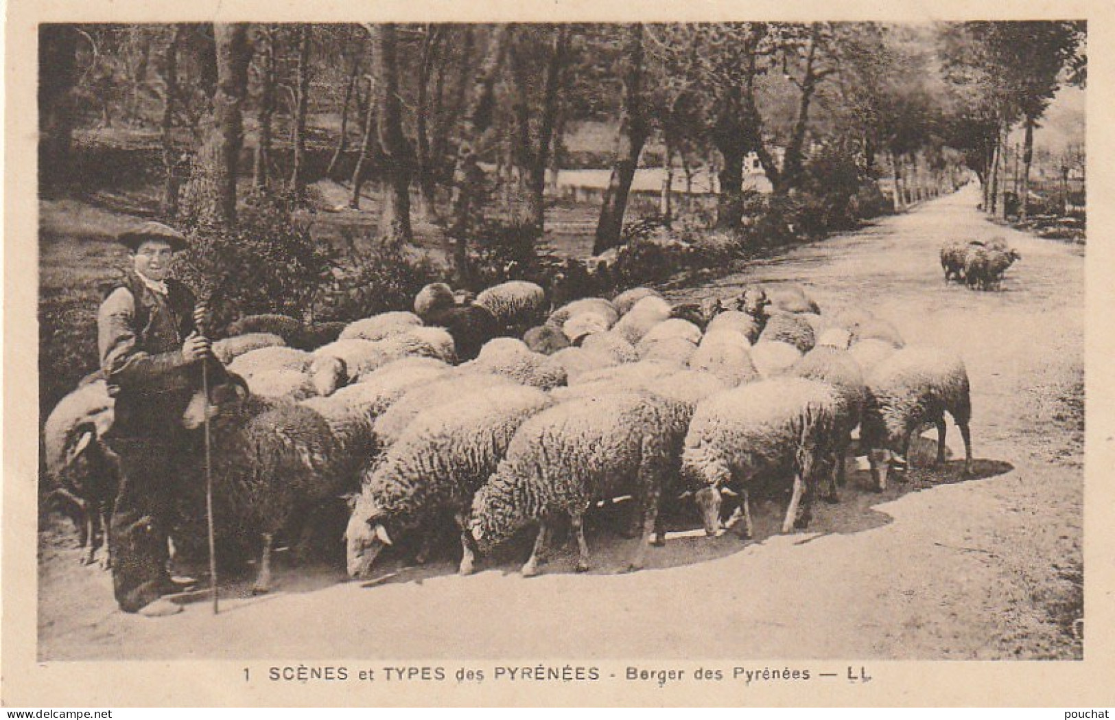 TE 14 - SCENES ET TYPES DES PYRENEES  - BERGER DES PYRENEES - TROUPEAU DE MOUTONS  - 2 SCANS - Sonstige & Ohne Zuordnung