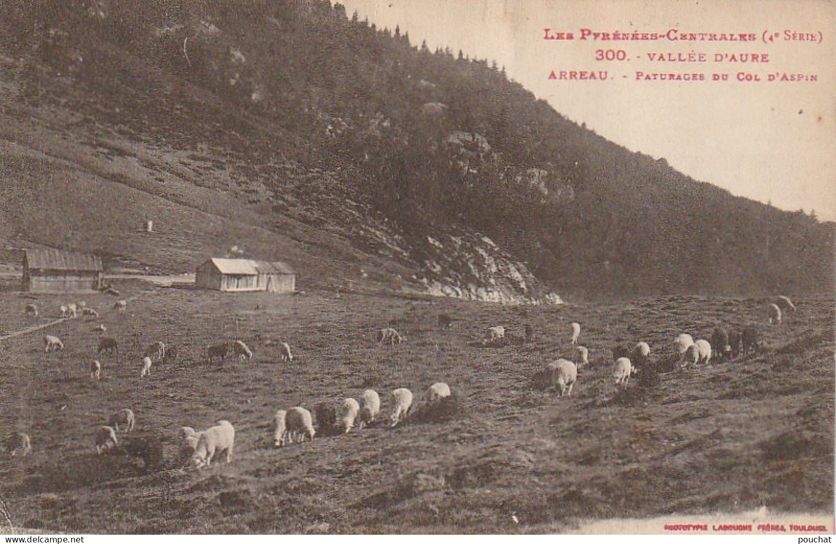 TE 14 -(65) ARREAU - PATURAGES DU COL D' ASPIN - MOUTONS - 2 SCANS - Altri & Non Classificati