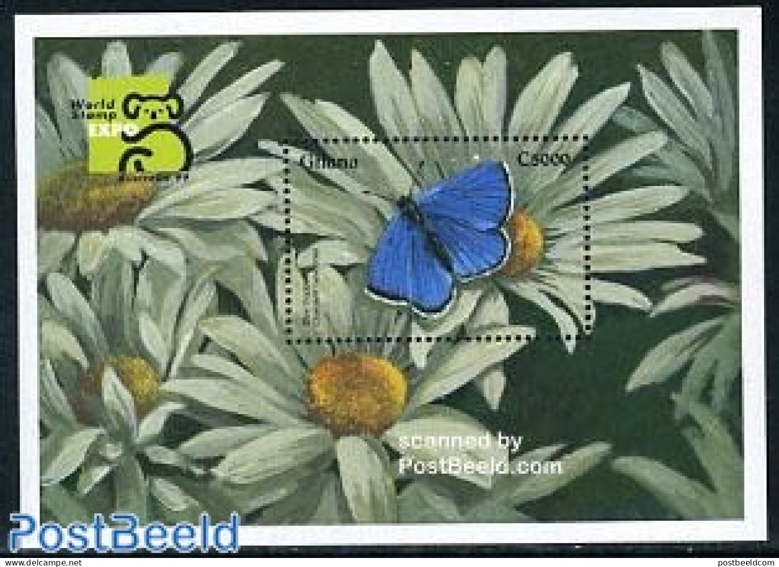 Ghana 1999 Blue Copper Butterfly S/s, Mint NH, Nature - Butterflies - Autres & Non Classés