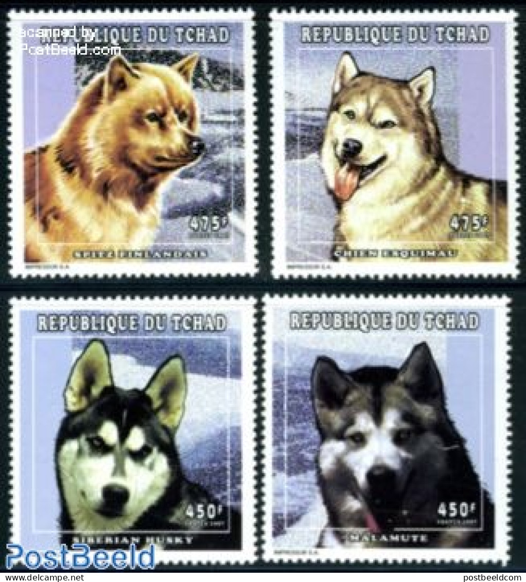 Chad 1998 Polar Dogs 4v, Mint NH, Nature - Science - Dogs - The Arctic & Antarctica - Other & Unclassified