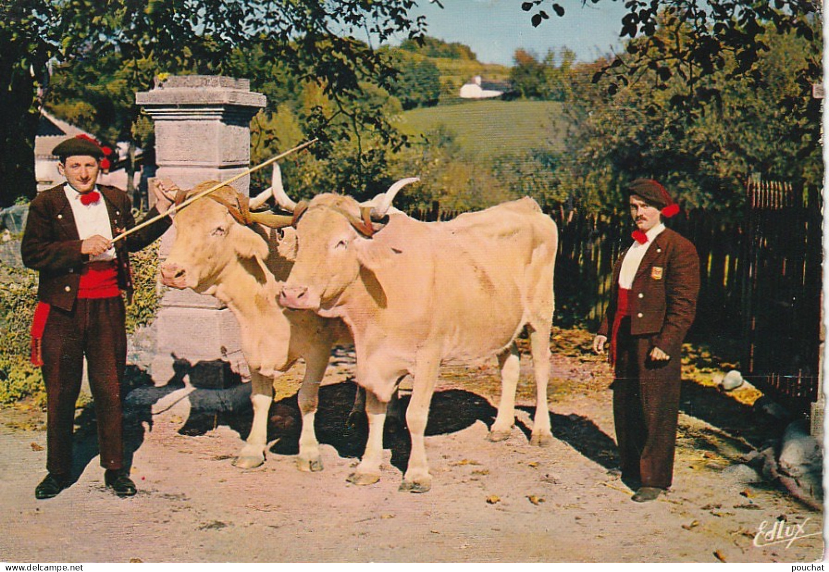 TE 15-(65) FOLKLORE BIGOURDAN - LES " CHANTEURS MONTAGNARDS " DE LOURDES - ATTELAGE LOURDAISES - 2 SCANS - Lourdes