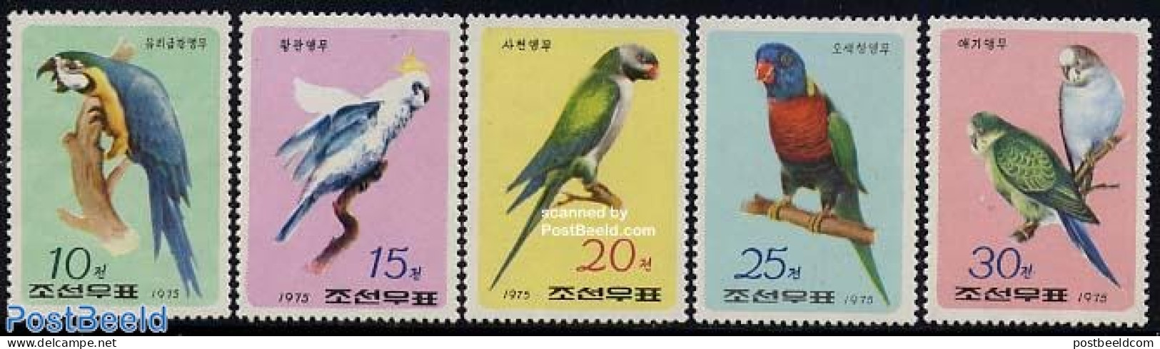 Korea, North 1975 Parrots 5v, Mint NH, Nature - Birds - Parrots - Corée Du Nord