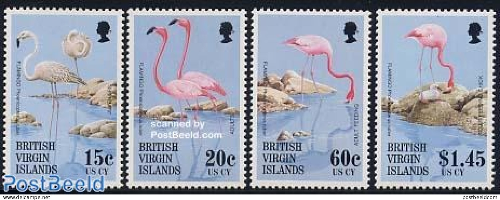 Virgin Islands 1995 Flamingos 4v, Mint NH, Nature - Birds - Flamingo - British Virgin Islands