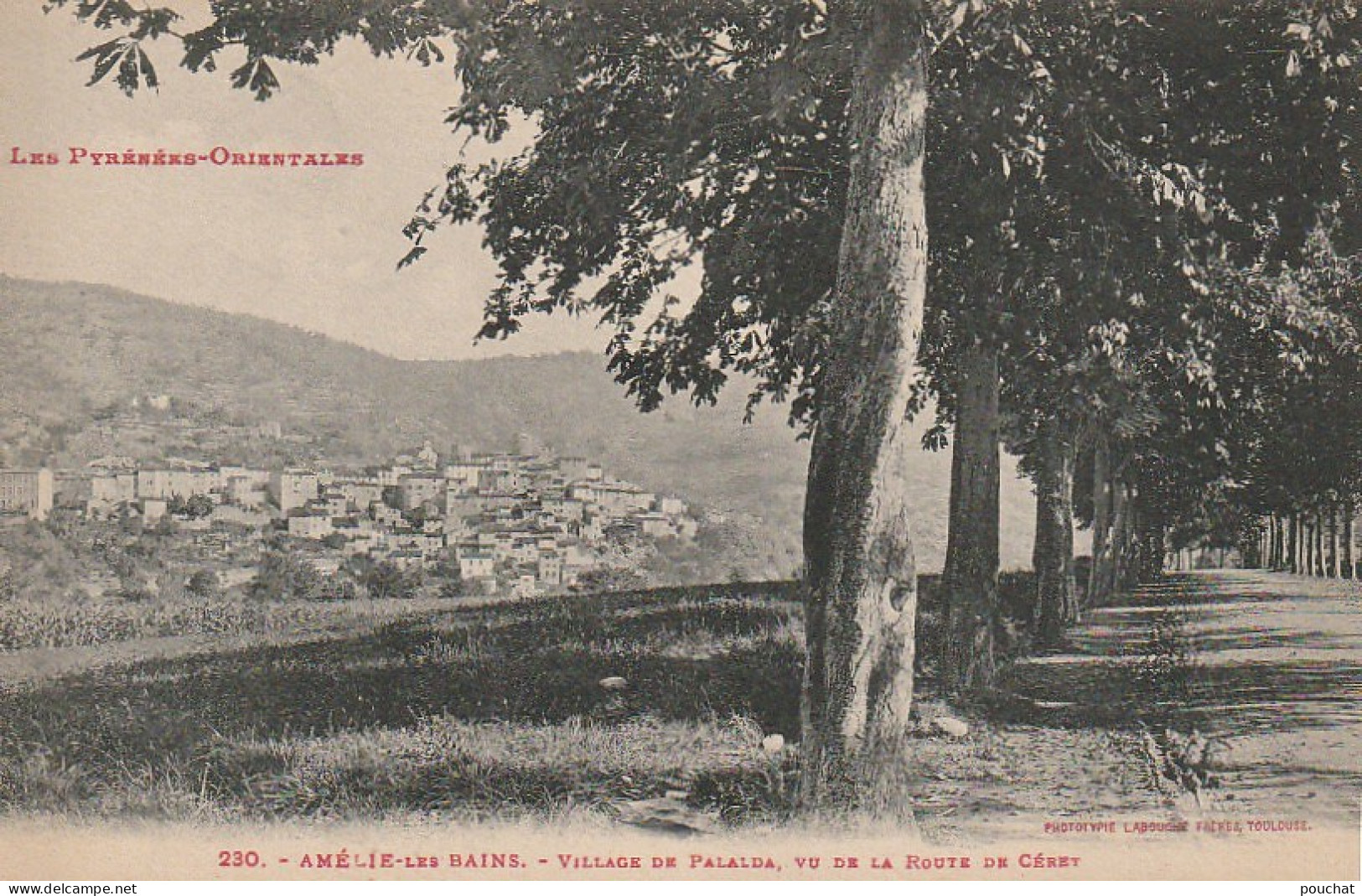 TE 16-(66) AMELIE LES BAINS - VILLAGE DE PALALDA , VU DE LA ROUTE DE CERET- 2 SCANS - Autres & Non Classés