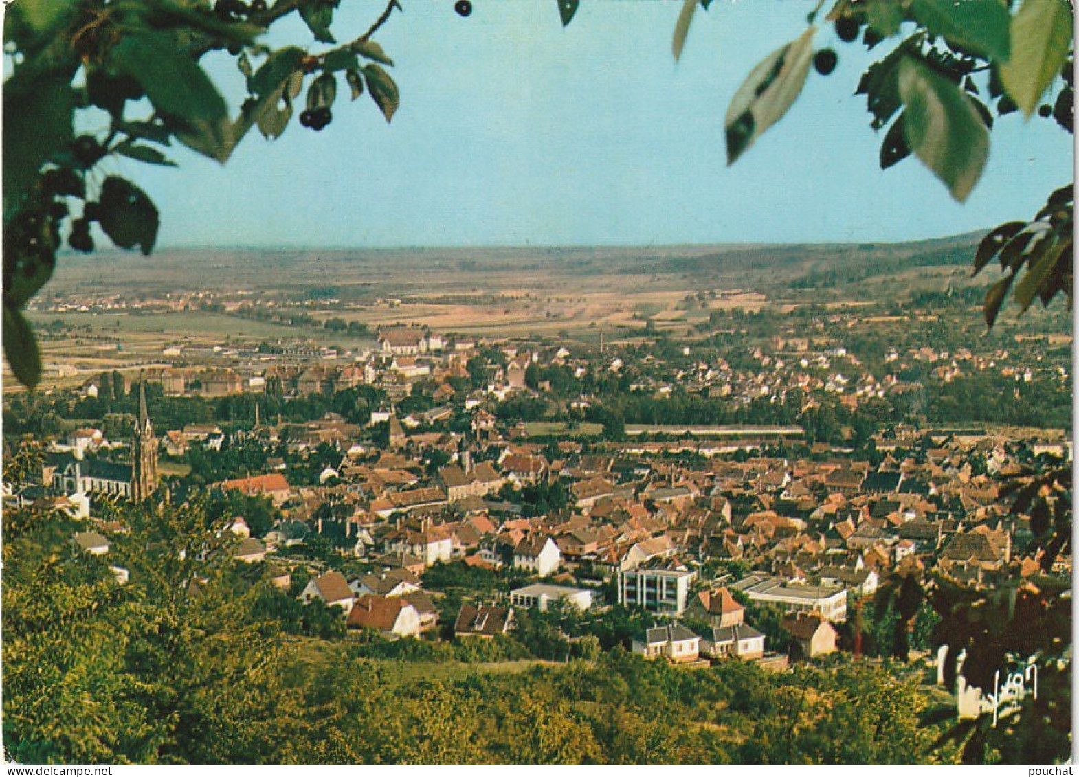 TE 20-(67) MUTZIG - VUE GENERALE , DANS LE FOND LA PLAINE D' ALSACE - CARTE COULEURS - 2 SCANS - Mutzig