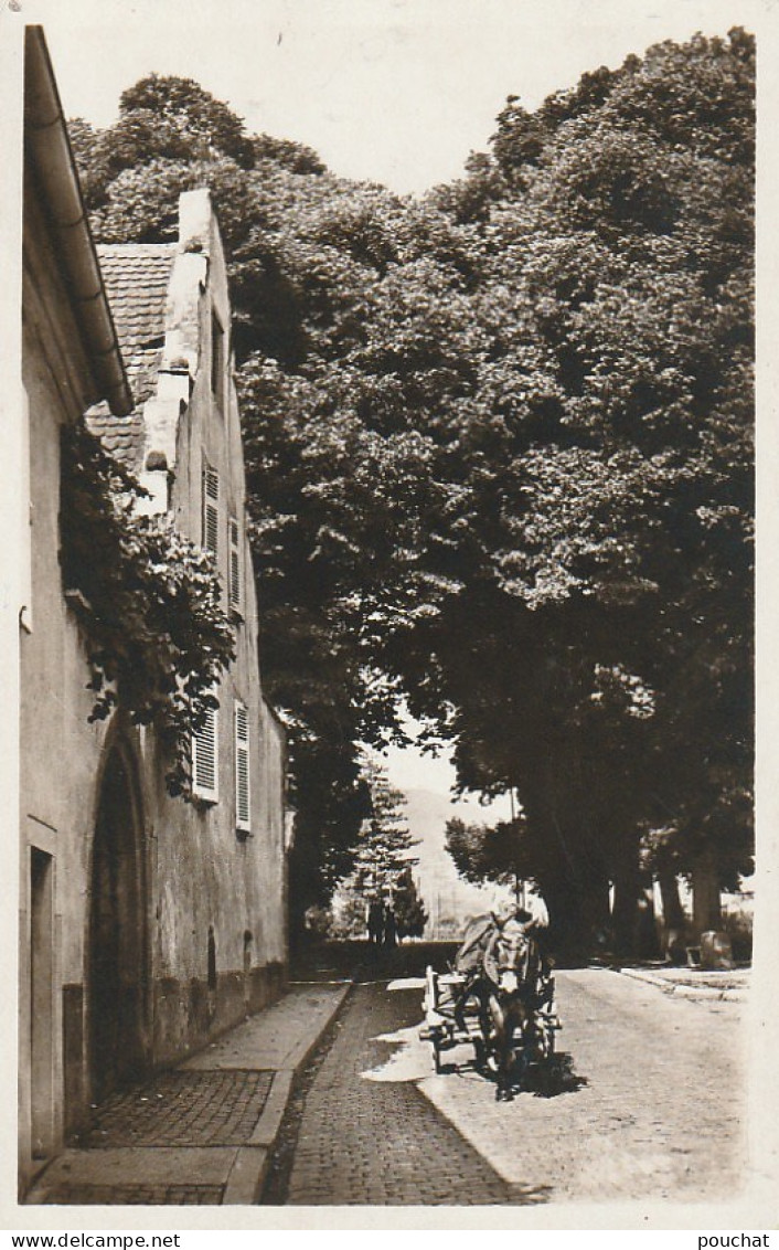 TE 21-(68) KIENTZHEIM - LA PLACE DU CHATEAU - ATTELAGE - EDIT . ARNOLD , COLMAR - 2 SCANS - Other & Unclassified