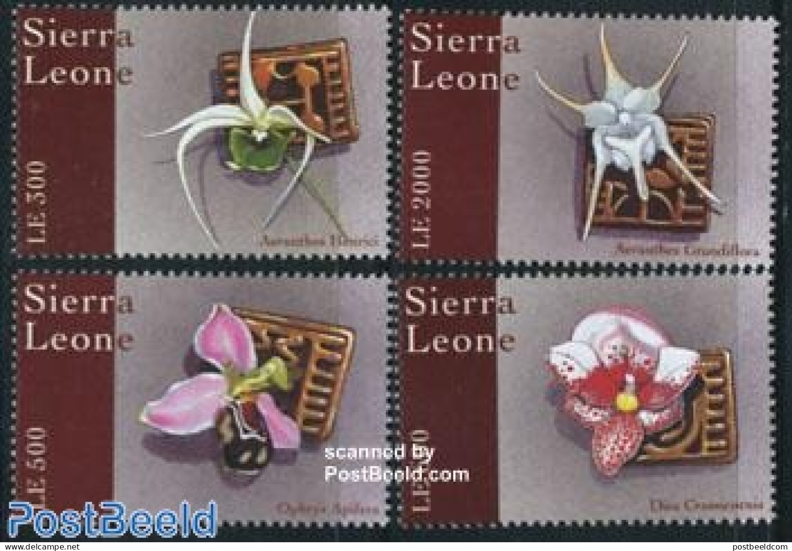 Sierra Leone 2000 Orchids 4v, Mint NH, Nature - Flowers & Plants - Orchids - Other & Unclassified