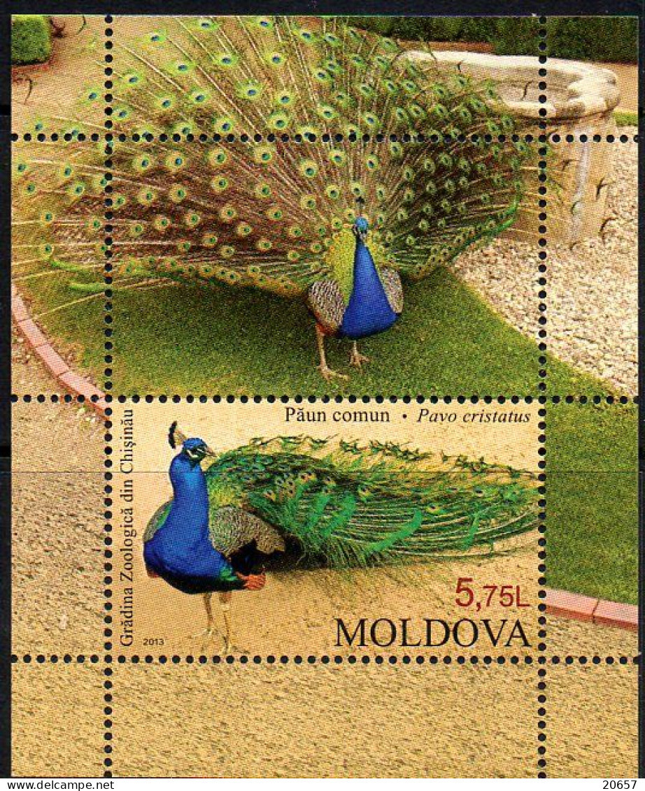 Moldavie Moldova Bf 067 Paon Bleu - Pavoni