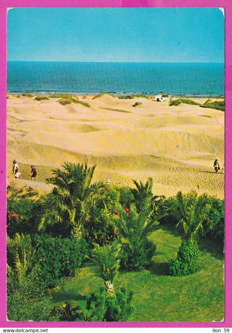 293751 / Spain - Dunas Maspalomas Sur De Gran Canaria PC 1976 Used 7 PTA - Paintings Luis Egidio Meléndez - Bodegon - Cartas & Documentos