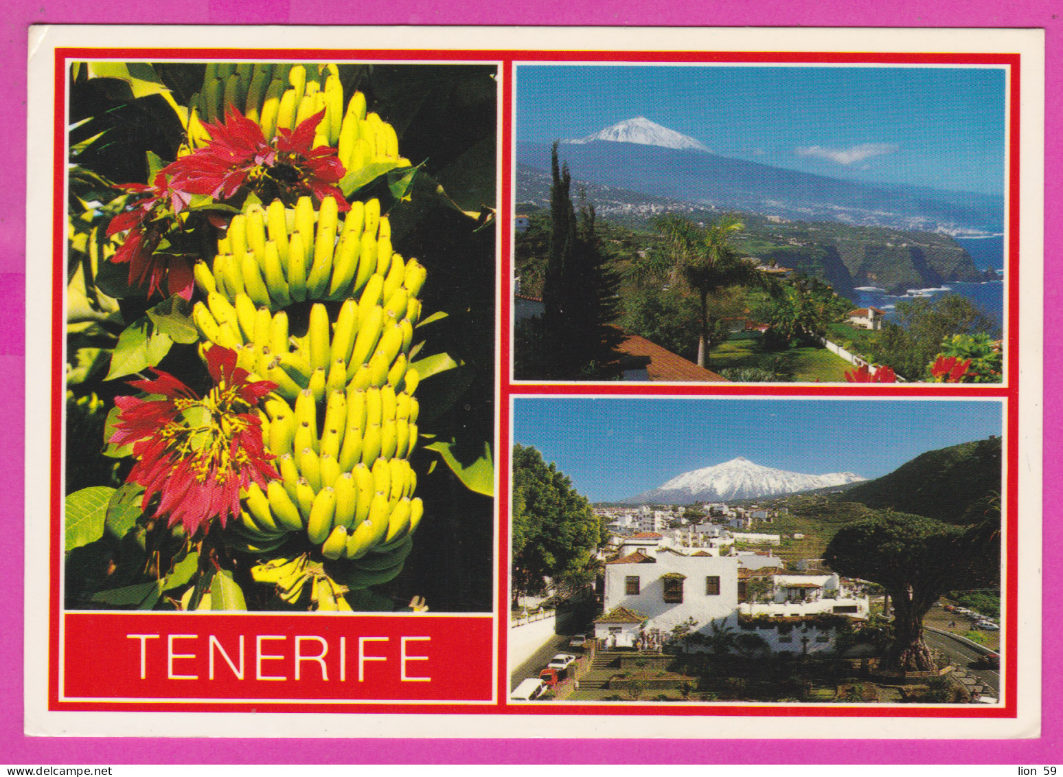 293756 / Spain - Tenerife Islas Canarias PC 1995 USED 60Pta Spanish Film Industry "Volver A Empezar" Flamme  CONSIGNE EN - Lettres & Documents