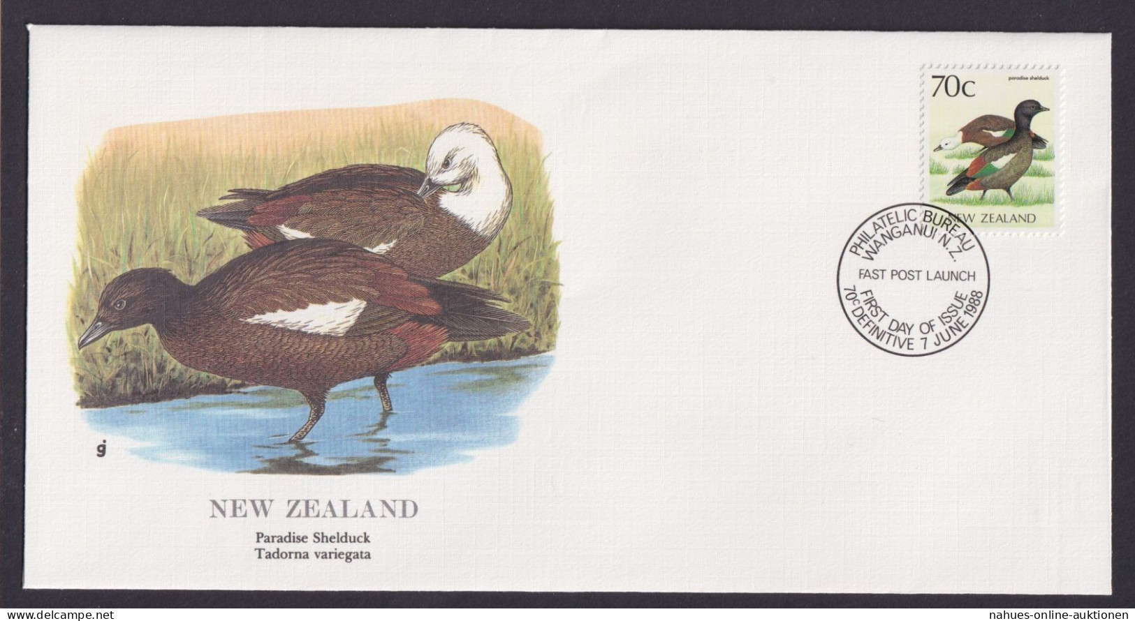 New Zealand Neuseeland Ozeanien Fauna Brandenten Schöner Künstler Brief - Lettres & Documents