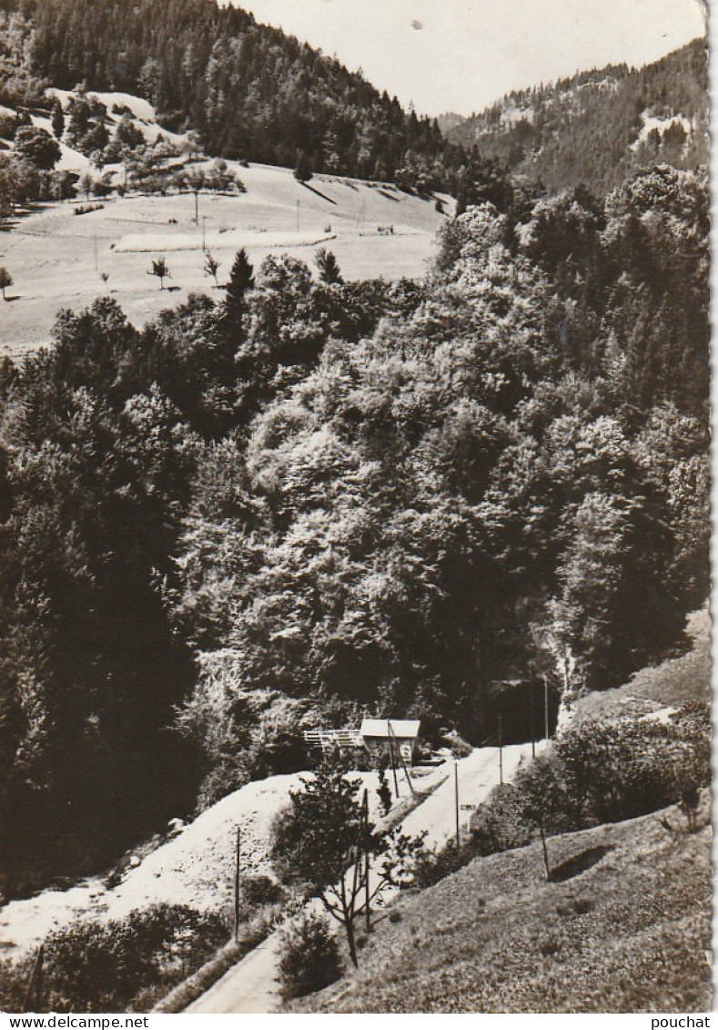 TE 27-(74) SAINT JEAN D' AULPS ( AULPH )- LE TUNNEL DES TINES - 2 SCANS - Saint-Jean-d'Aulps