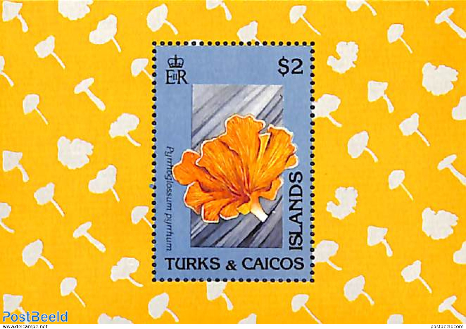 Turks And Caicos Islands 1991 Mushroom S/s, Mint NH, Nature - Mushrooms - Mushrooms