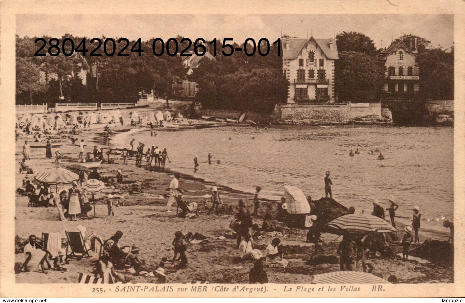 SAINT-PALAIS-sur-MER -  Cpsm Sépia  - La Plage Et Les Villas.  (scans Recto-verso) - Saint-Palais-sur-Mer