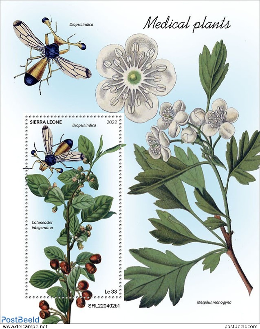 Sierra Leone 2022 Medical Plants, Mint NH, Health - Nature - Flowers & Plants - Insects - Other & Unclassified