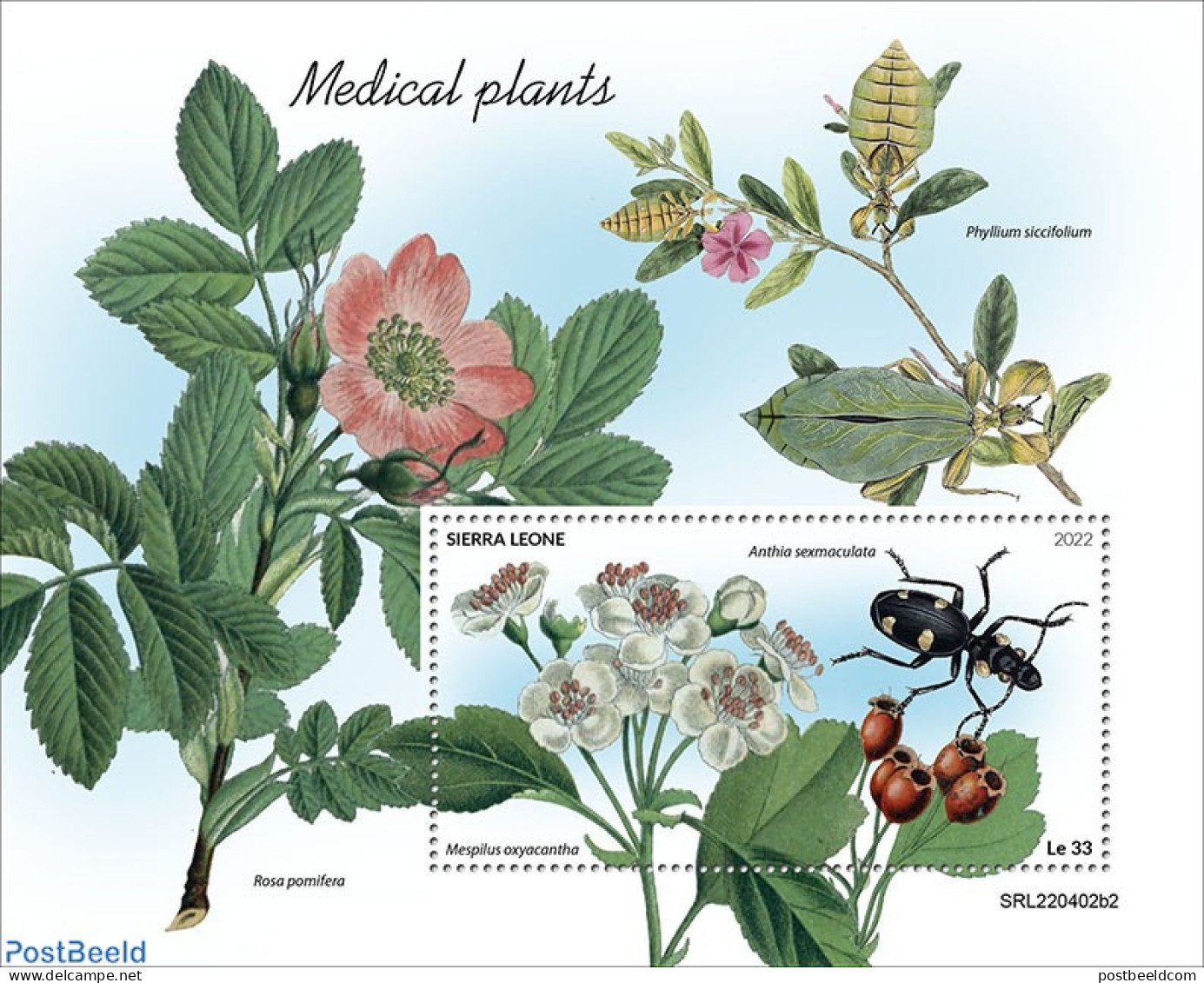 Sierra Leone 2022 Medical Plants, Mint NH, Health - Nature - Flowers & Plants - Insects - Autres & Non Classés