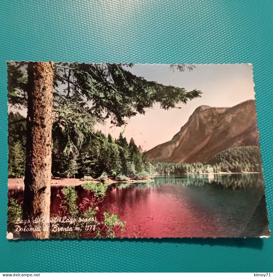 Cartolina Lago Di Tovel (Lago Rosso) - Dolomiti Di Brenta M. 1178. Viaggiata 1956 - Trento