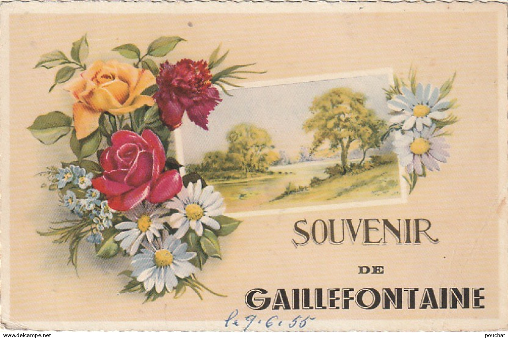 UR 7-(76) " SOUVENIR DE GAILLEFONTAINE " - CARTE FANTAISIE DECOR FLORAL - 2 SCANS - Other & Unclassified