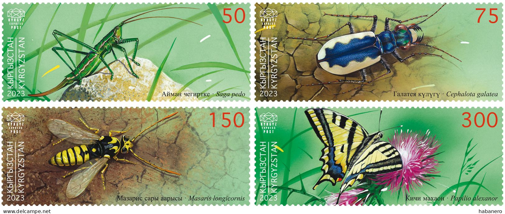 KYRGYZSTAN 2024 KEP 210-213 INSECTS SET OF MINT STAMPS ** - Sonstige & Ohne Zuordnung