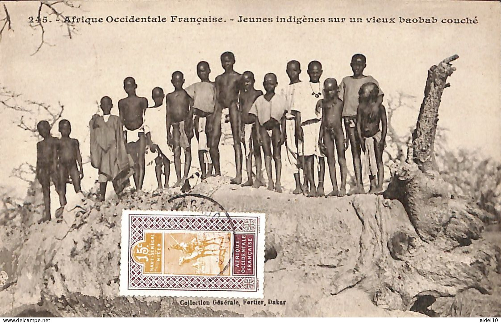 245- Afrique Occidentale Fr. - Jeunes Indigènes Sur Un Vieux Baobab Couché - Burkina Faso