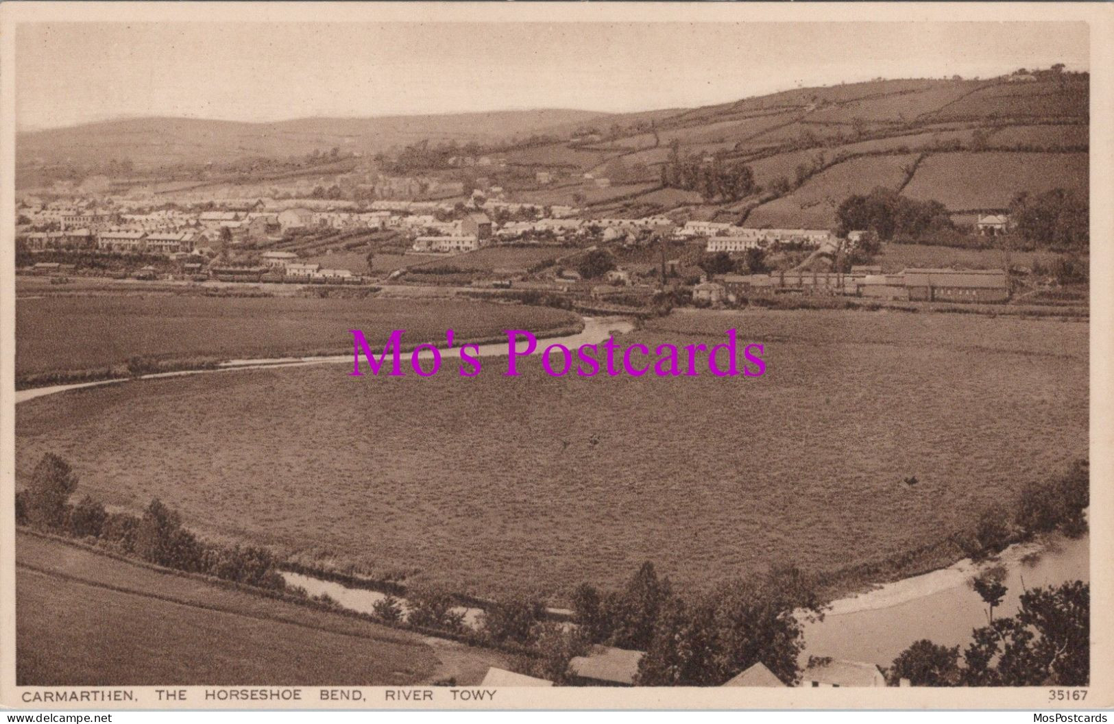 Wales Postcard - Carmarthen, The Horseshoe Bend, River Towy  DZ286 - Carmarthenshire