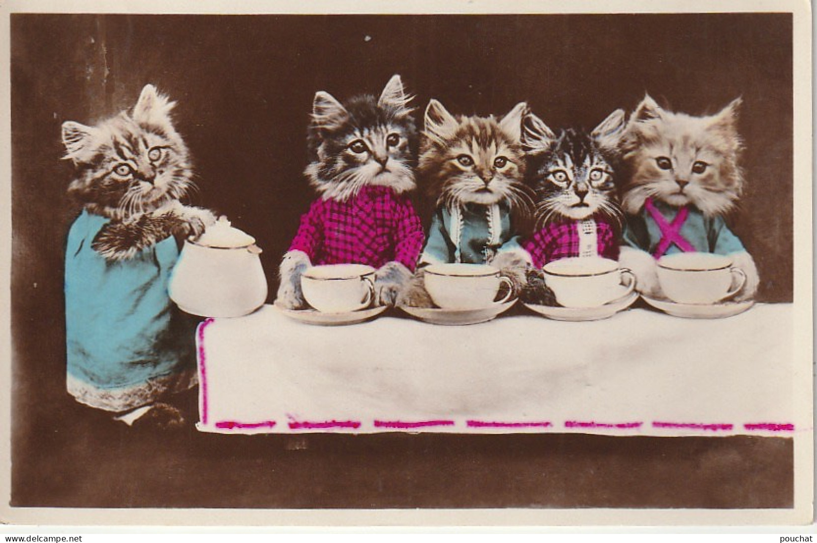 UR 15- TABLEE DE CHATONS HUMANISES AVEC SERVICE A THE ( LAIT ) - CARTE FANTAISIE HUMORISTIQUE - Dressed Animals