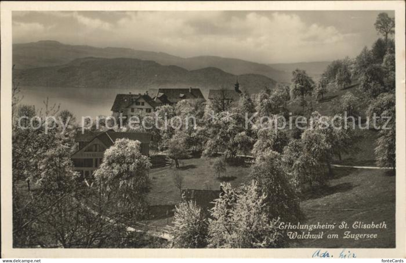 12320623 Walchwil Erholungsheim Sankt Elisabeth Zugersee Walchwil - Andere & Zonder Classificatie