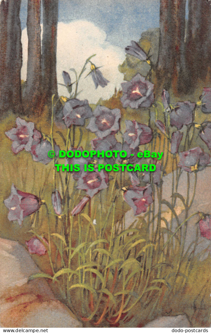 R551021 Blue Flowers. V. Postcard - Welt