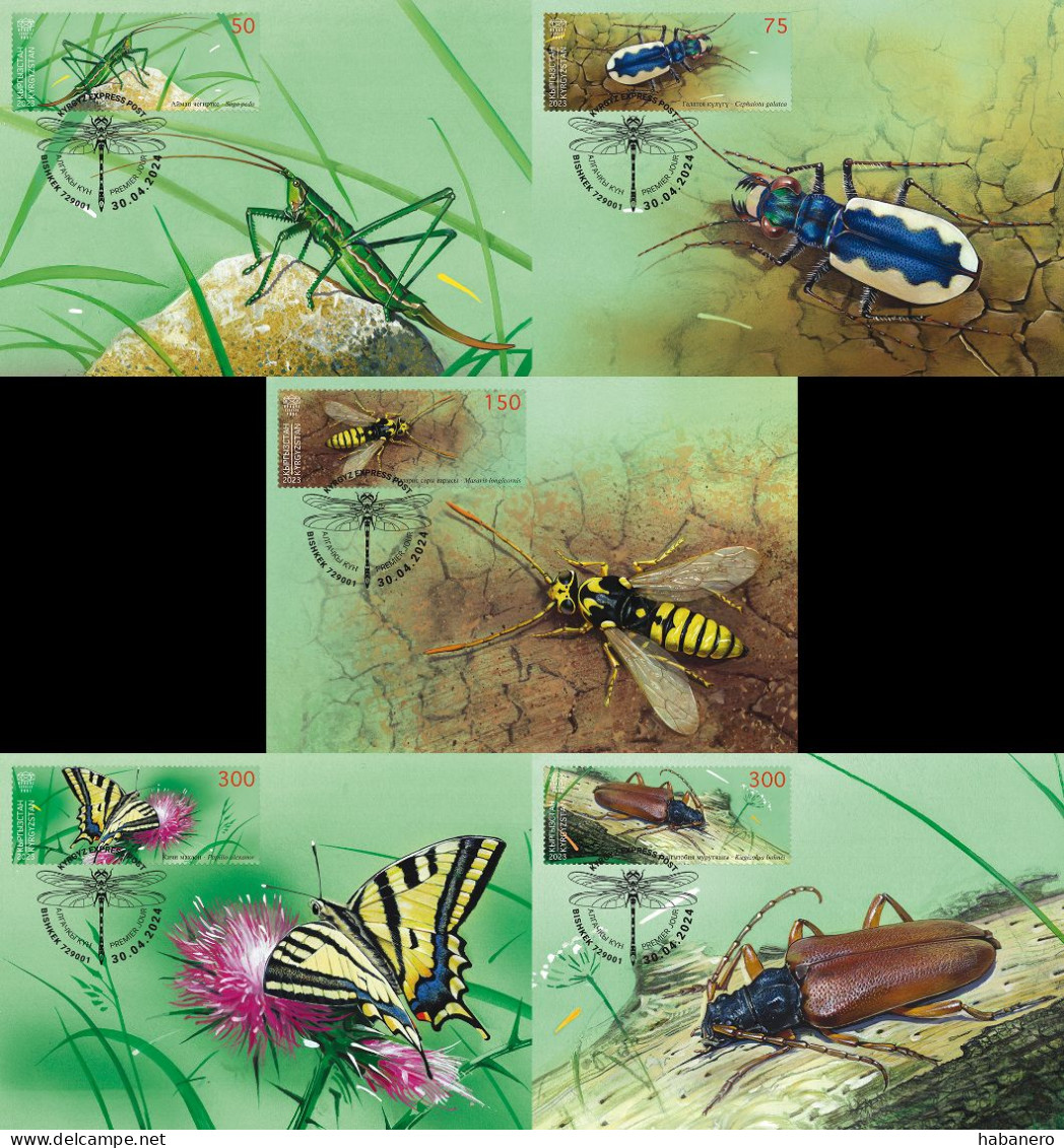 KYRGYZSTAN 2024 KEP 210-213 INSECTS SET OF MAXIMUM CARDS - Kirgizië