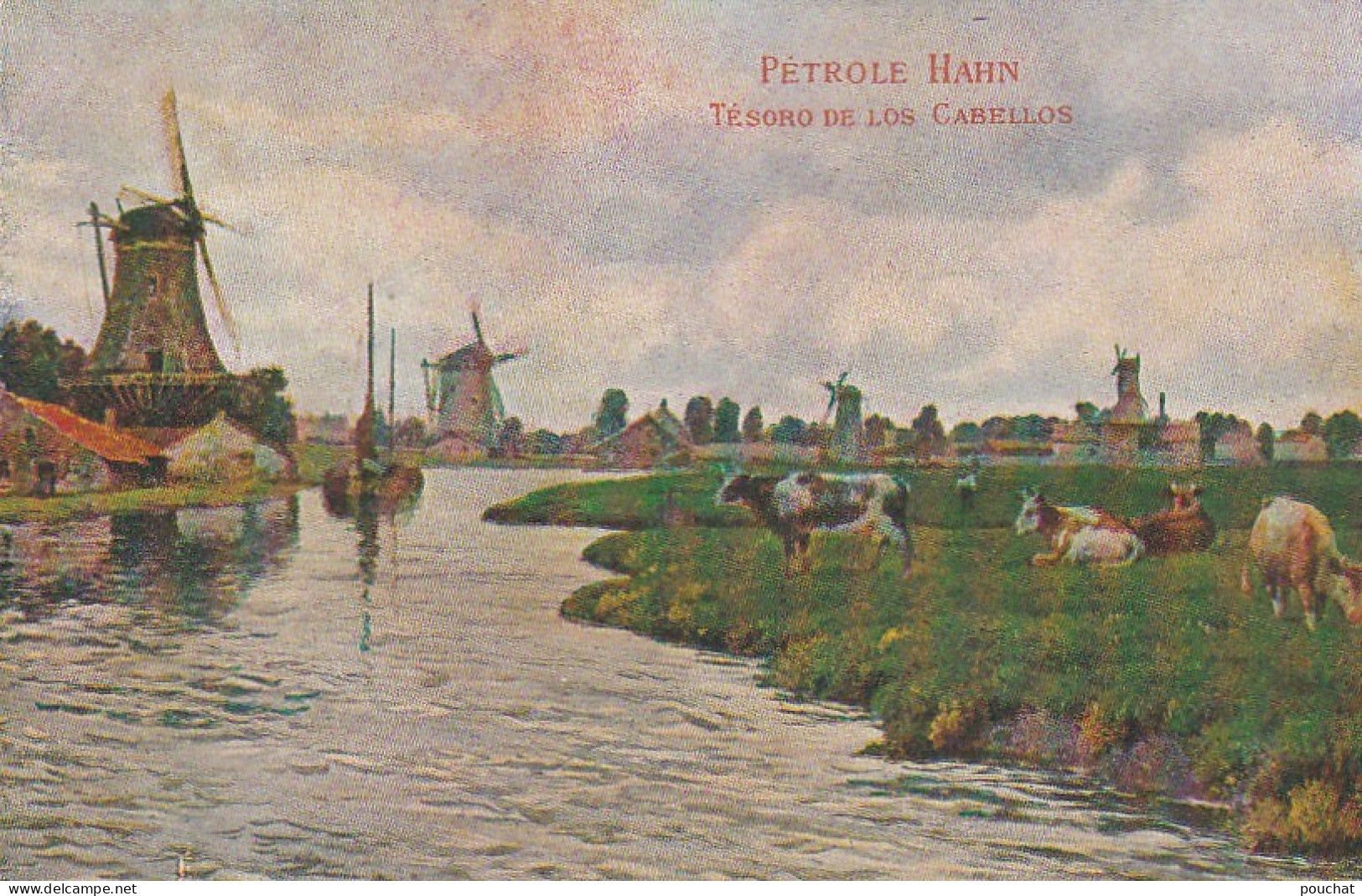 UR 24-( PAYS BAS ) ZAANDAM - MOULINS - TROUPEAU DE VACHES - CARTE PUBLICITAIRE PETROLE HAHN - 2 SCANS - Publicité