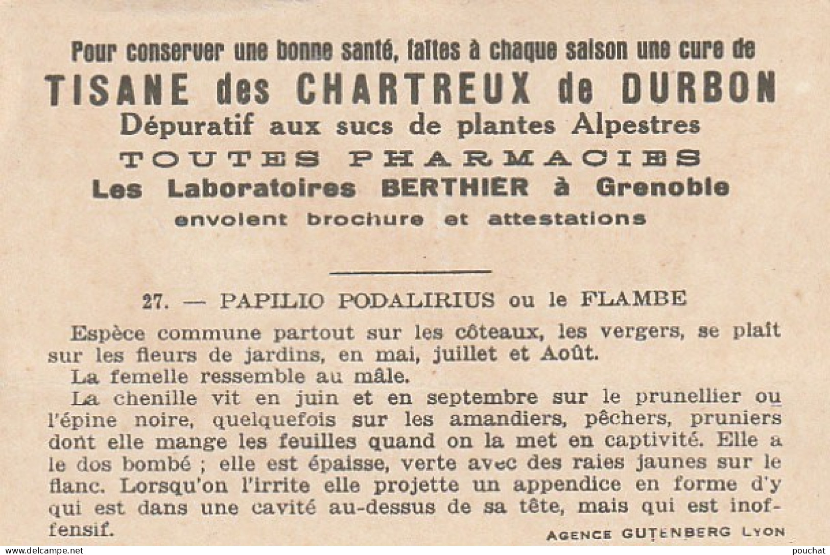 UR 24- " PAPILIO PODALIRIUS  OU LE FLAMBE " ( PAPILLON ET CHENILLE ) - PUB TISANE DES CHARTREUX DE DURBON  - Sonstige & Ohne Zuordnung