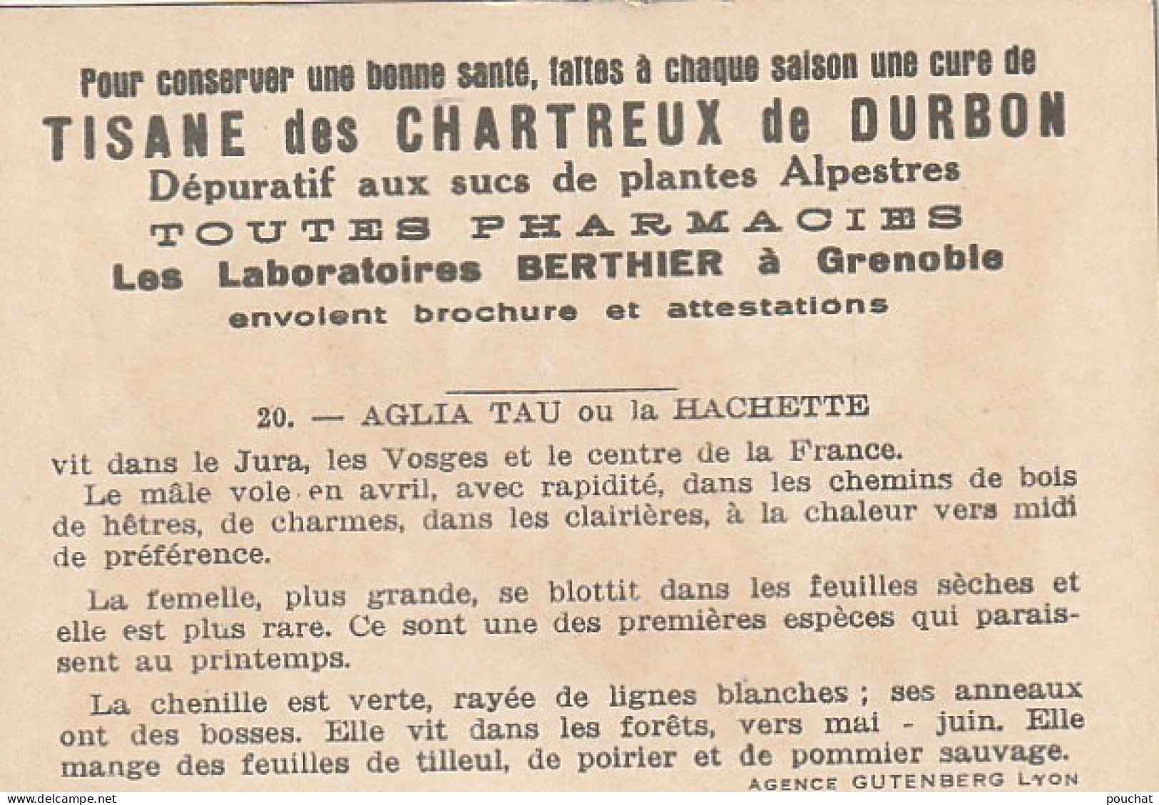 UR 24- " AGLIA TAU OU LA HACHETTE " ( PAPILLON ET CHENILLE ) - PUB TISANE DES CHARTREUX DE DURBON - LAB . BERTHIER (38)  - Other & Unclassified